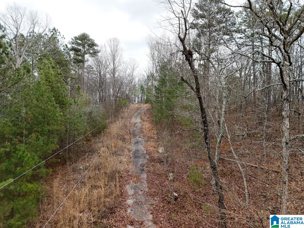 130 Evergreen Drive Springville, AL 35146 - Photo 2 of 20