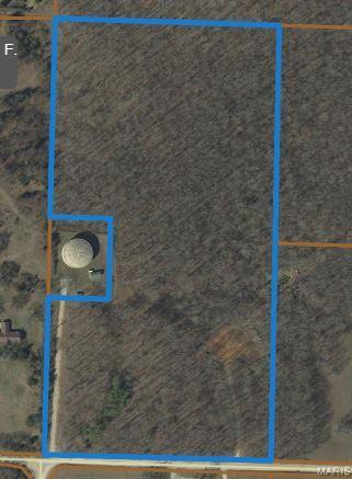 0 County Road 3440 Mountain View, MO 65548 - Photo 12 of 28