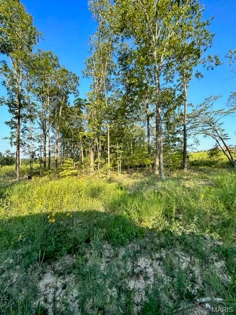 0 County Road 3440 Mountain View, MO 65548 - Photo 15 of 28