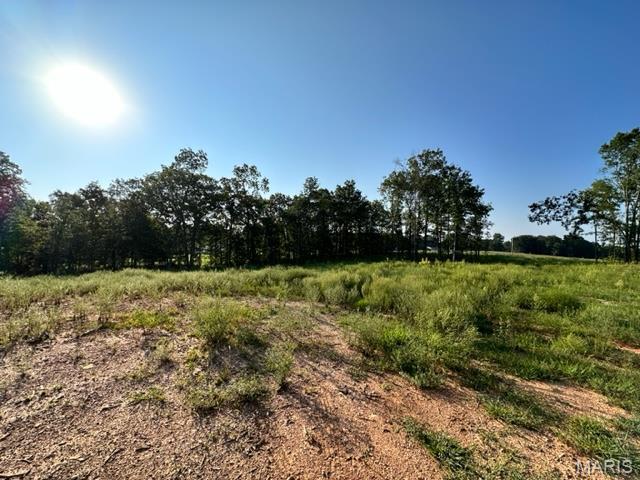 0 County Road 3440 Mountain View, MO 65548 - Photo 17 of 28