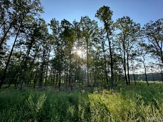 $109,900 | 0 County Road 3440, Mountain View, MO 65548