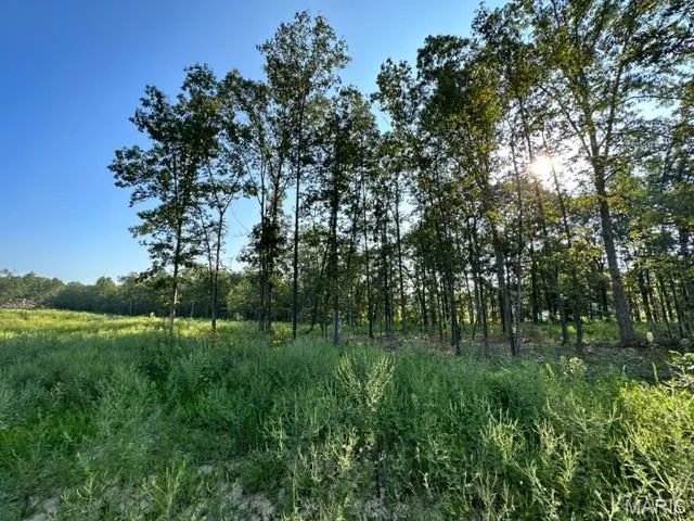 $109,900 | 0 County Road 3440, Mountain View, MO 65548