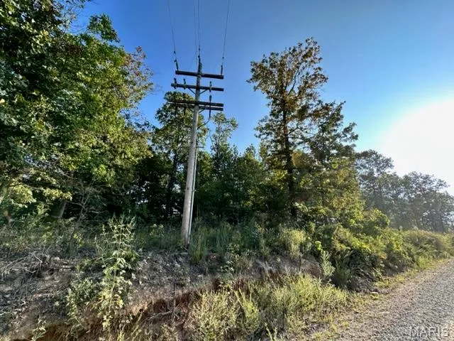 $109,900 | 0 County Road 3440, Mountain View, MO 65548