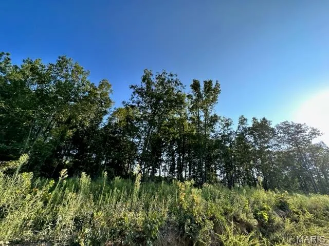 $109,900 | 0 County Road 3440, Mountain View, MO 65548