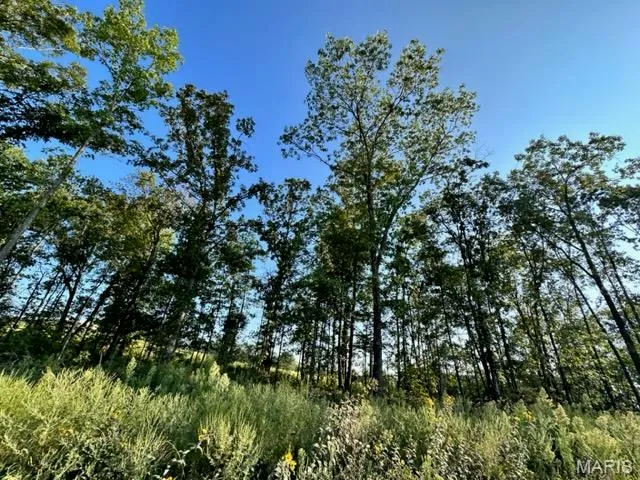 $109,900 | 0 County Road 3440, Mountain View, MO 65548