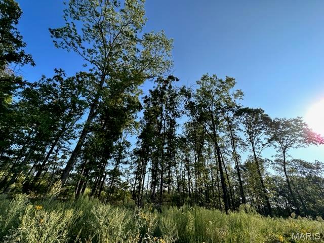 0 County Road 3440 Mountain View, MO 65548 - Photo 23 of 28