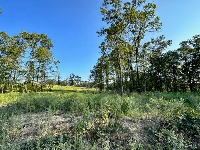 0 County Road 3440 Mountain View, MO 65548 - Photo 24 of 28