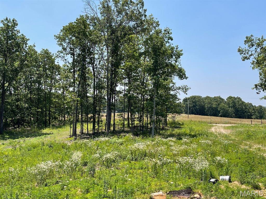 0 County Road 3440 Mountain View, MO 65548 - Photo 27 of 28