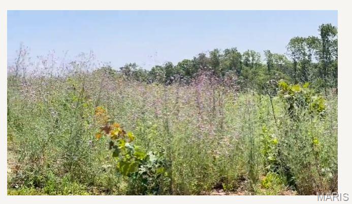 0 County Road 3440 Mountain View, MO 65548 - Photo 28 of 28