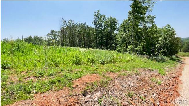 0 County Road 3440 Mountain View, MO 65548 - Photo 4 of 28