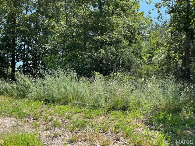 $109,900 | 0 County Road 3440, Mountain View, MO 65548