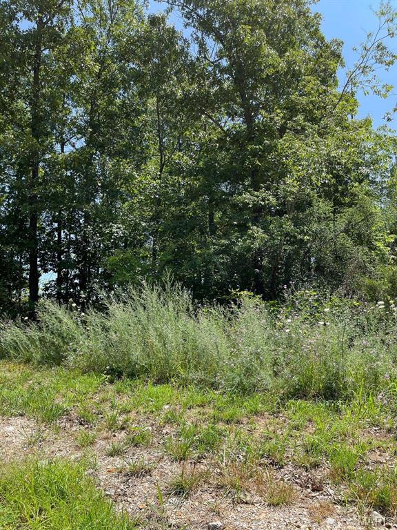 0 County Road 3440 Mountain View, MO 65548 - Photo 7 of 28