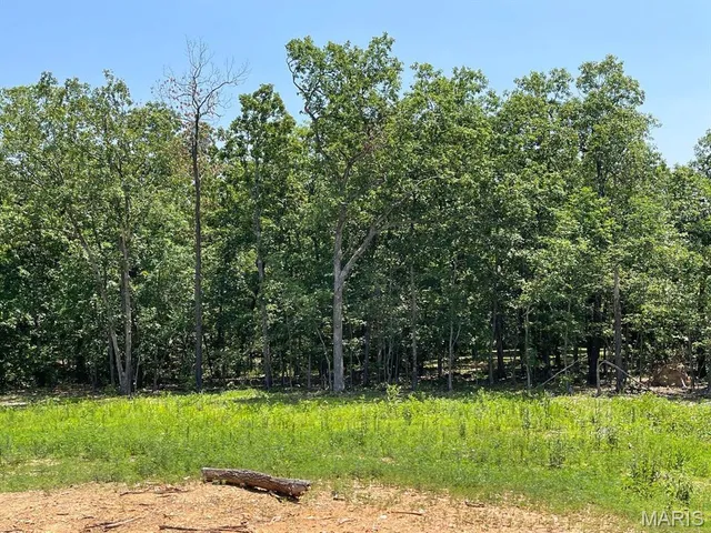 $109,900 | 0 County Road 3440, Mountain View, MO 65548