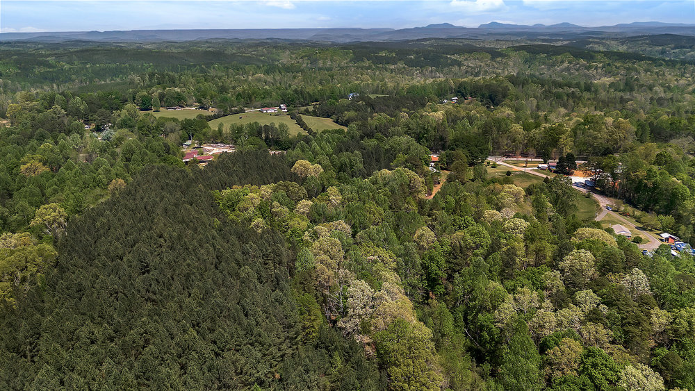 120 Collins Road Salem, SC 29676 - Photo 7 of 13