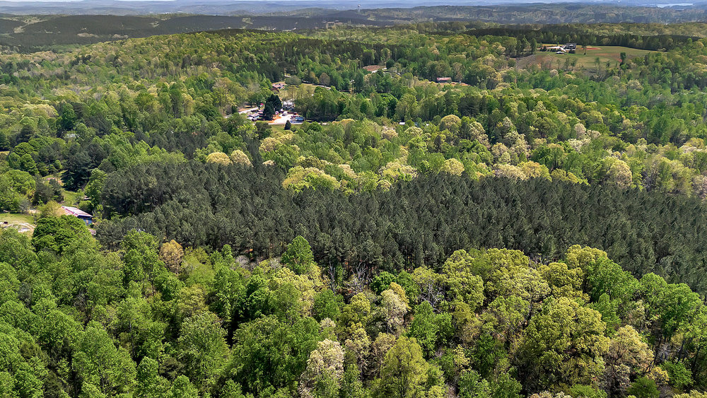 120 Collins Road Salem, SC 29676 - Photo 9 of 13