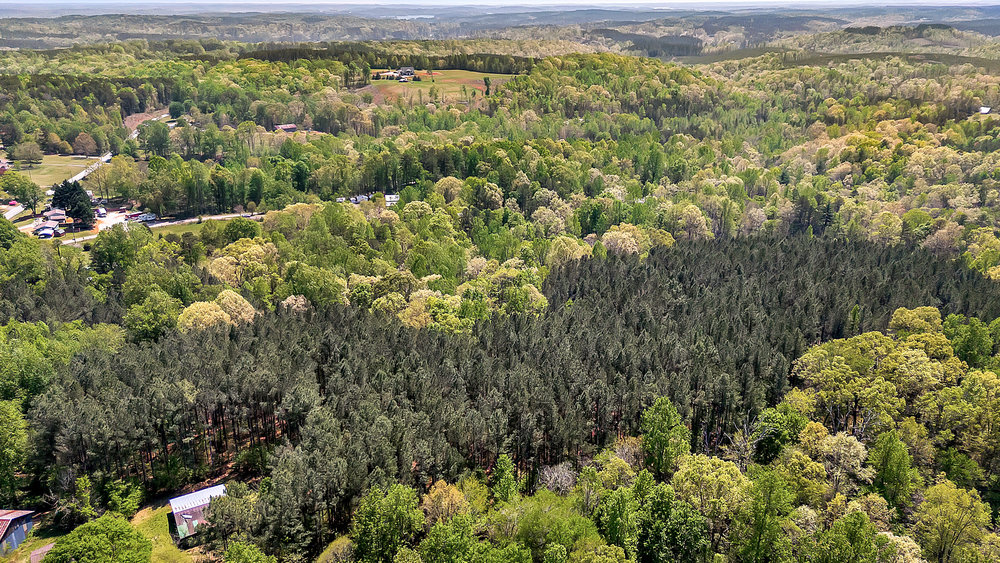 120 Collins Road Salem, SC 29676 - Photo 10 of 13