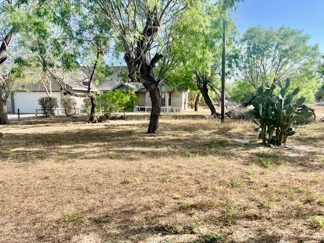 1615 Nolana Road Donna, TX 78537 - Photo 2 of 9 a view of a road with a trees