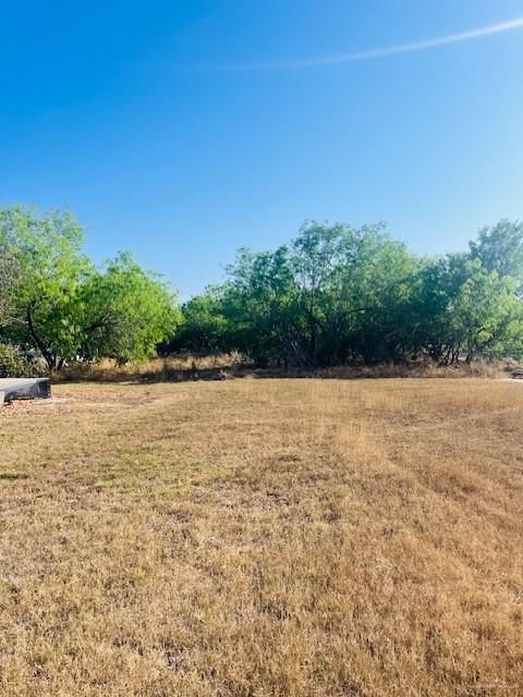 1615 Nolana Road Donna, TX 78537 - Photo 7 of 9