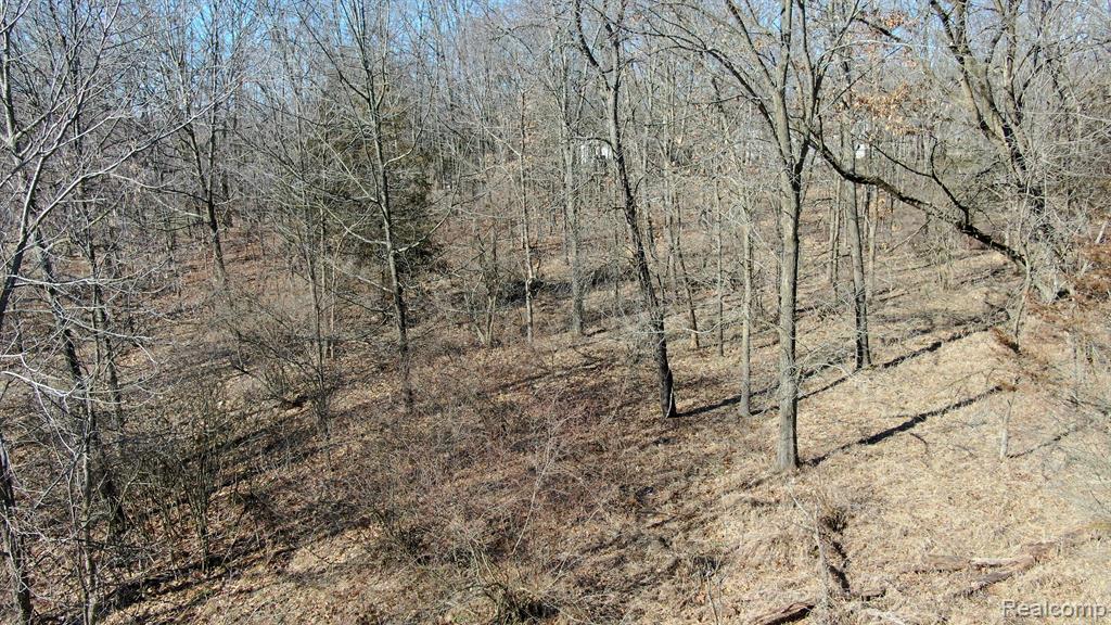 7495 Hartland Road Fenton, MI 48430 - Photo 9 of 27