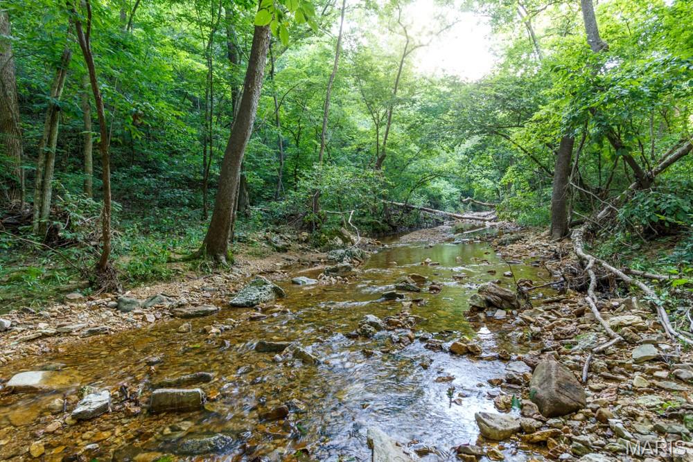 11500 Claxton Road Falcon, MO 65470 - Photo 12 of 17