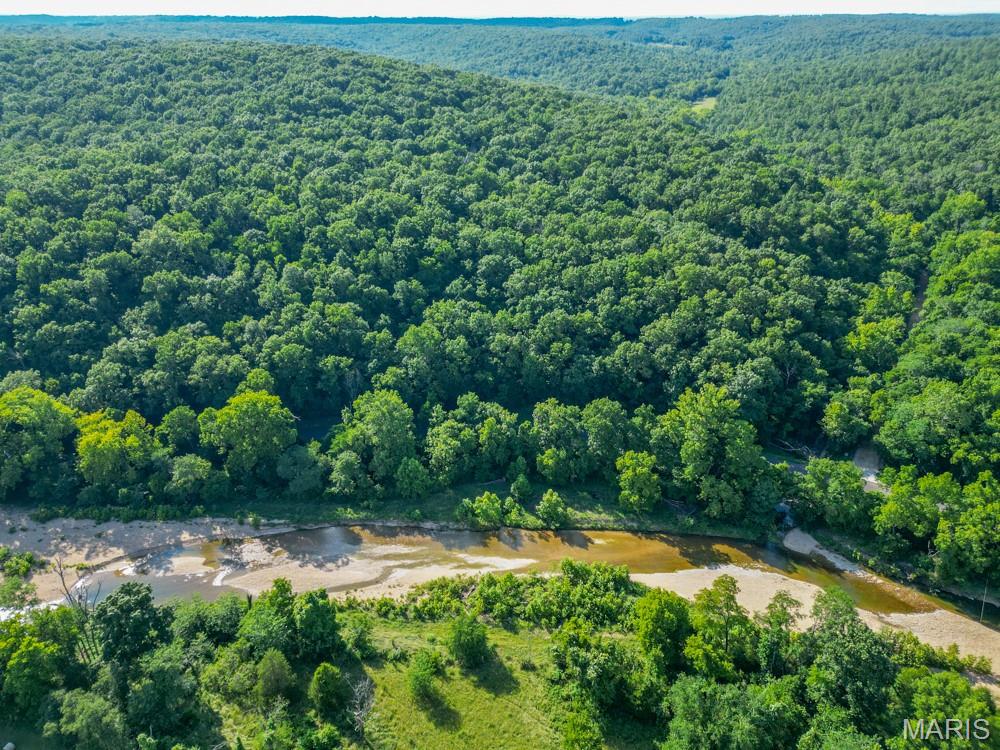 11500 Claxton Road Falcon, MO 65470 - Photo 13 of 17