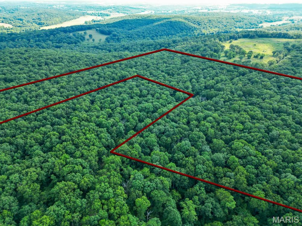 11500 Claxton Road Falcon, MO 65470 - Photo 6 of 17