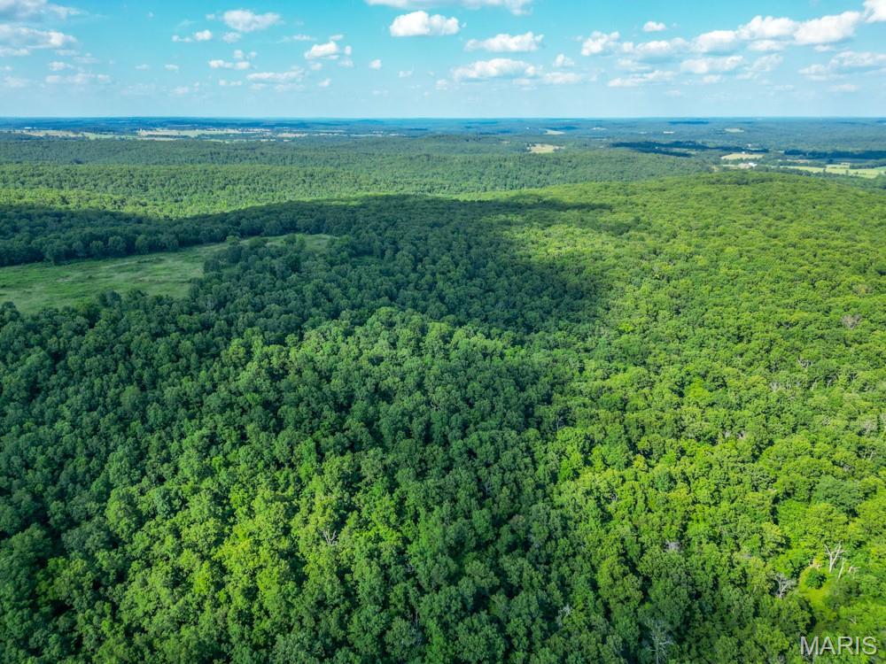 11500 Claxton Road Falcon, MO 65470 - Photo 7 of 17