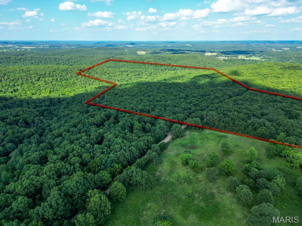 11500 Claxton Road Falcon, MO 65470 - Photo 8 of 17