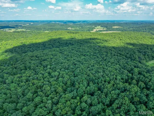 $499,900 | 11500 Claxton Road, Falcon, MO 65470