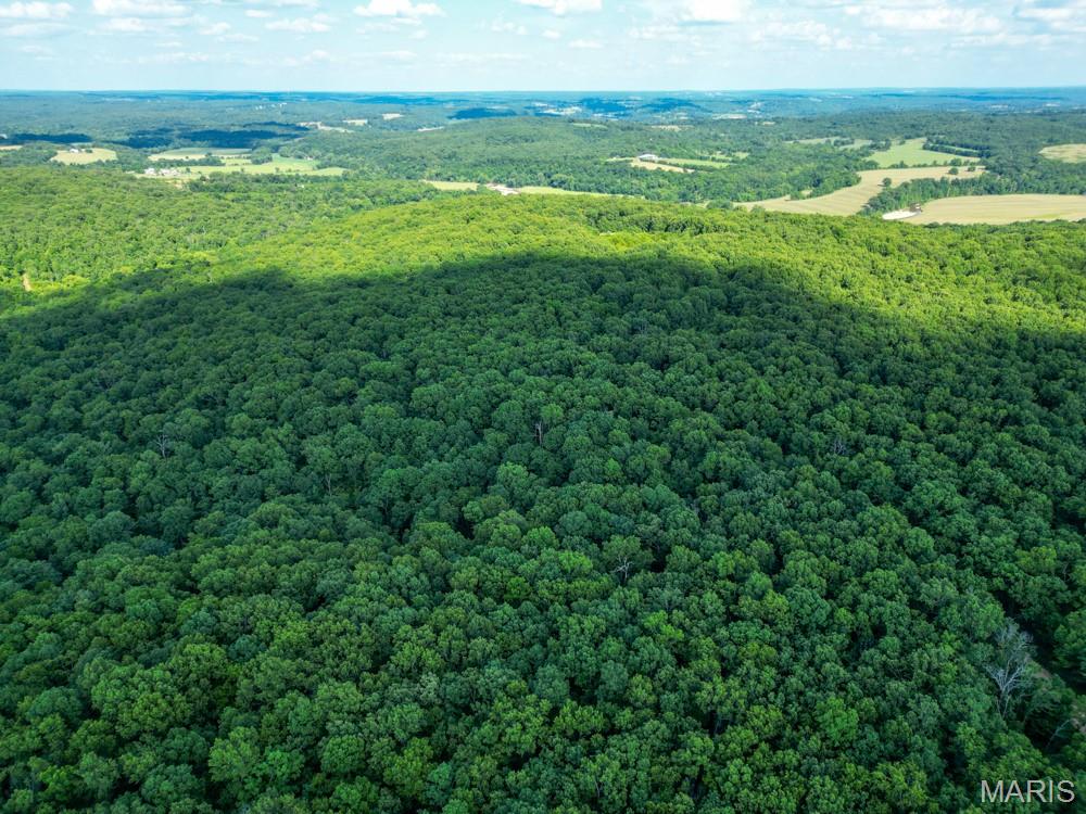 11500 Claxton Road Falcon, MO 65470 - Photo 10 of 17