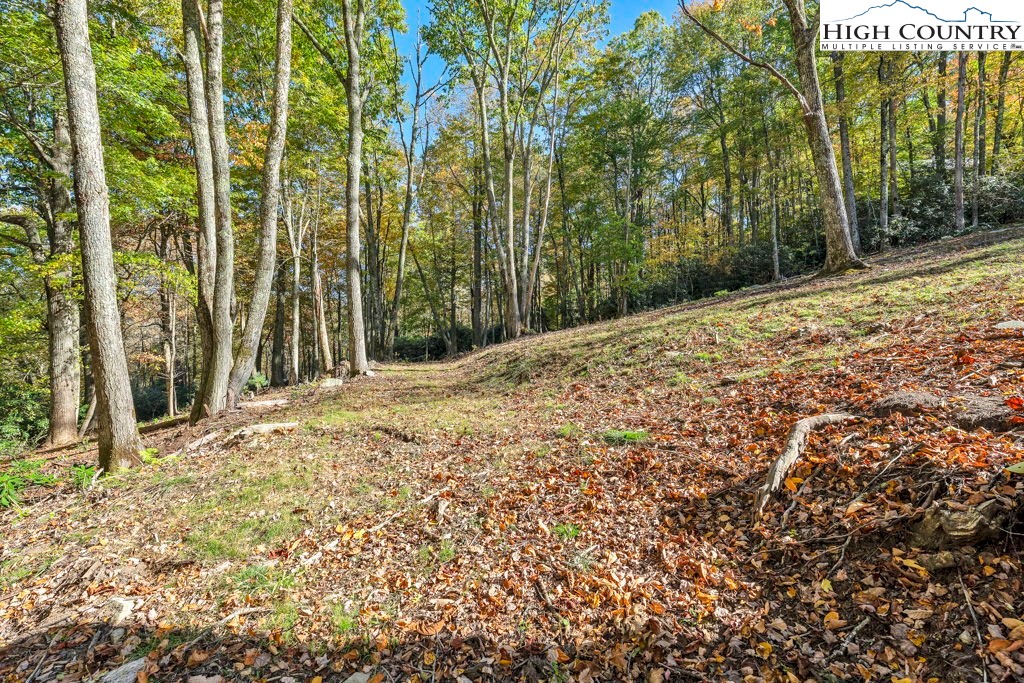 Lot 57 Wick Wyre Boone, NC 28607 - Photo 11 of 31 a view of a backyard of the house
