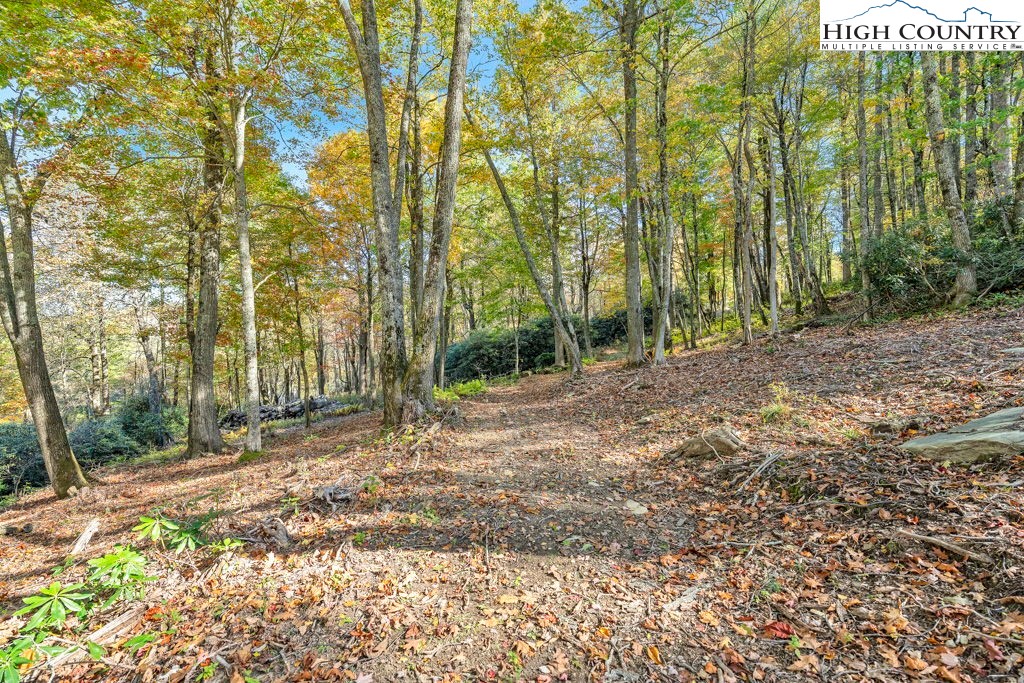 Lot 57 Wick Wyre Boone, NC 28607 - Photo 12 of 31 a view of a yard with plants and trees