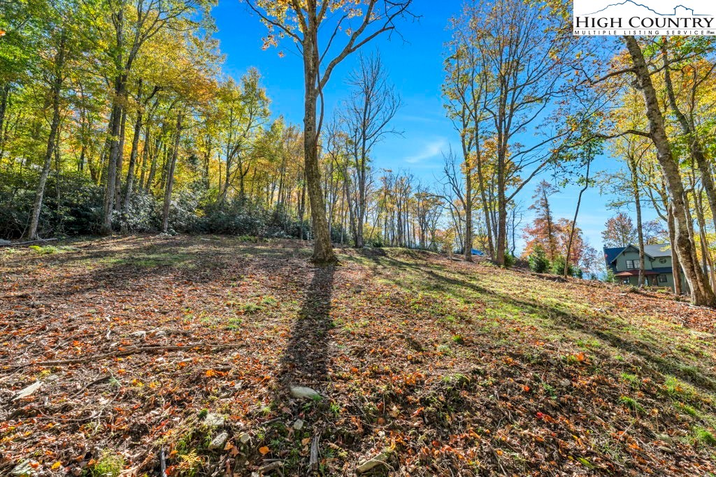 Lot 57 Wick Wyre Boone, NC 28607 - Photo 13 of 31 a view of a backyard with large trees