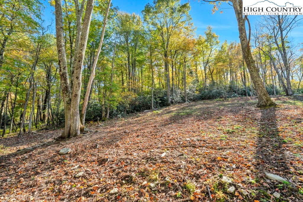 Lot 57 Wick Wyre Boone, NC 28607 - Photo 14 of 31 a view of a yard with plants and trees