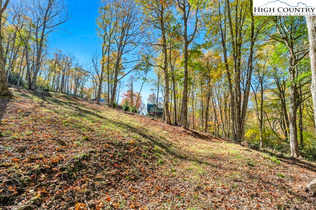 Lot 57 Wick Wyre Boone, NC 28607 - Photo 15 of 31 a view of a yard with plants and trees