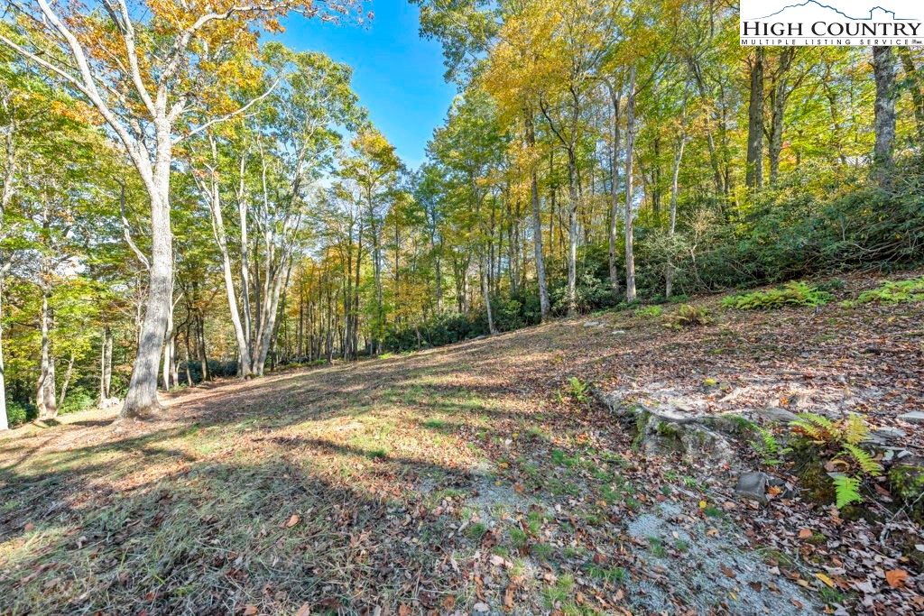 Lot 57 Wick Wyre Boone, NC 28607 - Photo 16 of 31 a view of a yard with trees