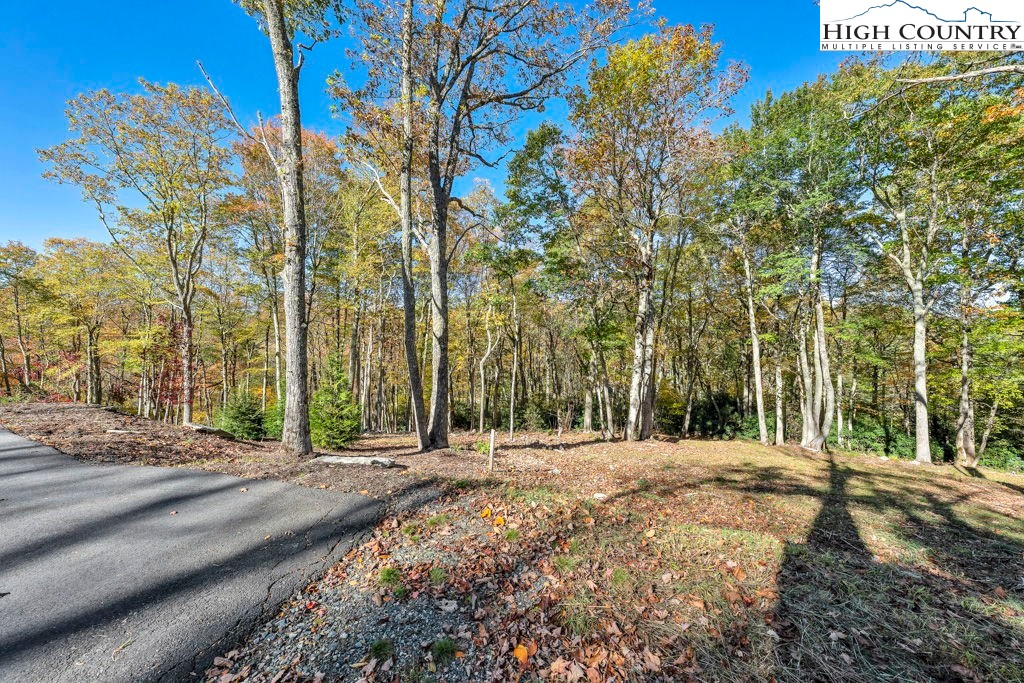 Lot 57 Wick Wyre Boone, NC 28607 - Photo 17 of 31 a view of a building with large trees
