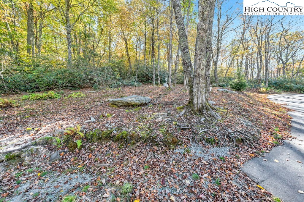 Lot 57 Wick Wyre Boone, NC 28607 - Photo 18 of 31 a view of backyard with green space