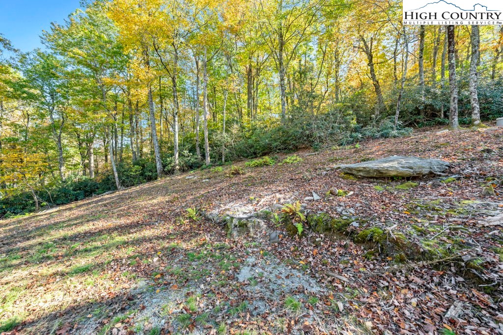 Lot 57 Wick Wyre Boone, NC 28607 - Photo 19 of 31 a view of a yard with plants and large trees