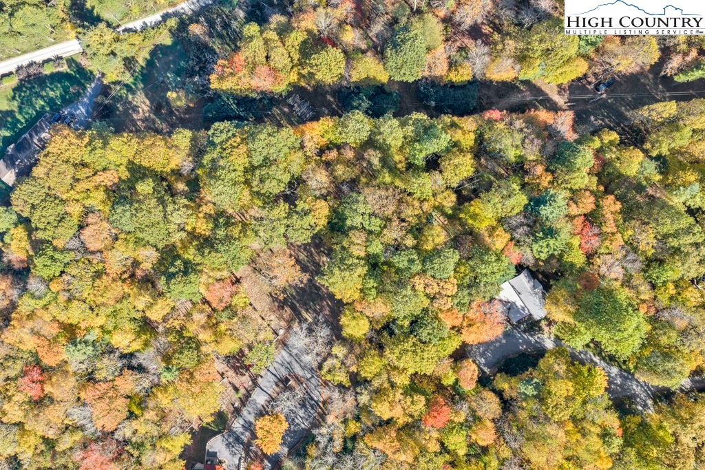 Lot 57 Wick Wyre Boone, NC 28607 - Photo 20 of 31 a view of a tree