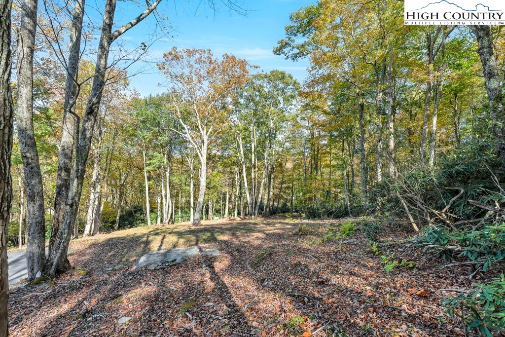 Lot 57 Wick Wyre Boone, NC 28607 - Photo 2 of 31 a view of outdoor space and yard