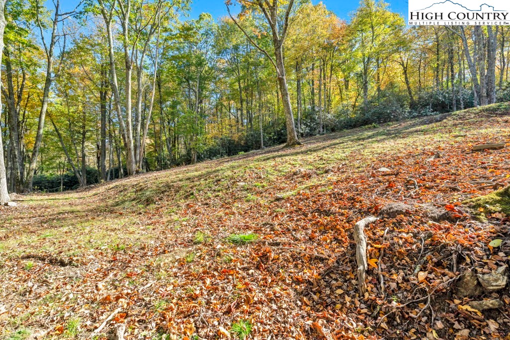Lot 57 Wick Wyre Boone, NC 28607 - Photo 22 of 31 a view of a yard with plants and trees