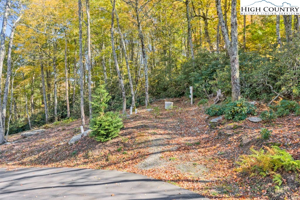 Lot 57 Wick Wyre Boone, NC 28607 - Photo 23 of 31 a view of a yard with plants and large trees