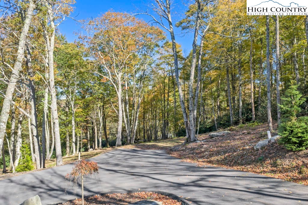 Lot 57 Wick Wyre Boone, NC 28607 - Photo 24 of 31 a view of a backyard of the house