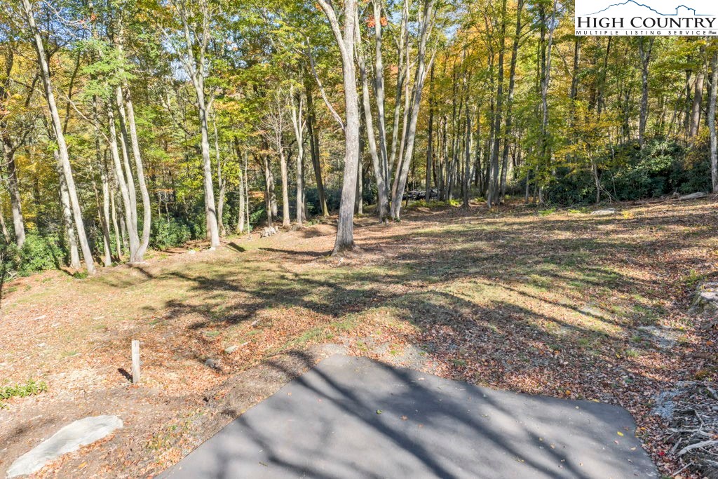 Lot 57 Wick Wyre Boone, NC 28607 - Photo 25 of 31 a view of a yard with large trees