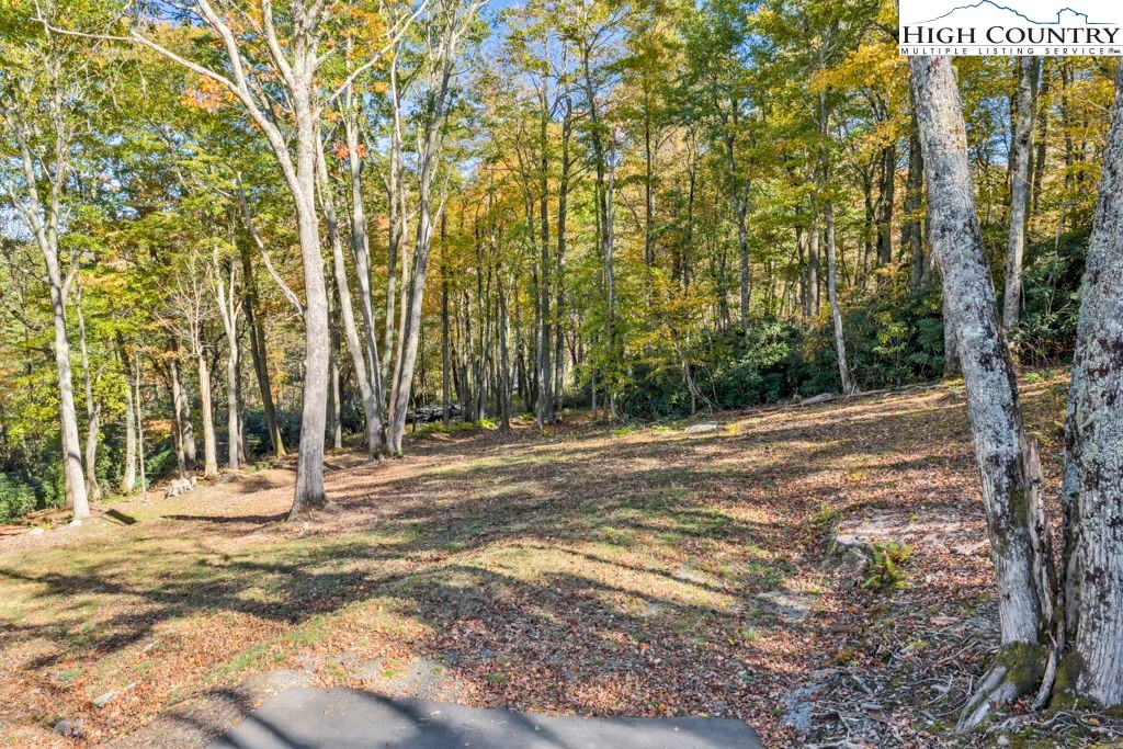 Lot 57 Wick Wyre Boone, NC 28607 - Photo 26 of 31 a view of outdoor space with trees