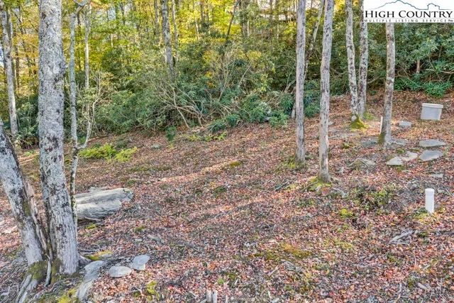 a view of a mountain