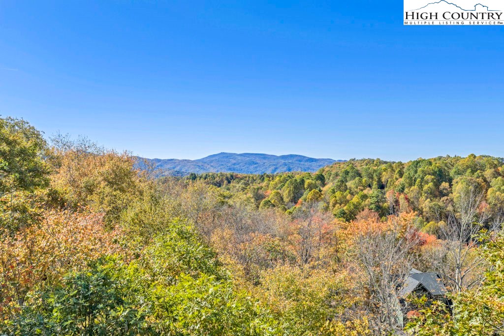 Lot 57 Wick Wyre Boone, NC 28607 - Photo 29 of 31 a view of a mountain