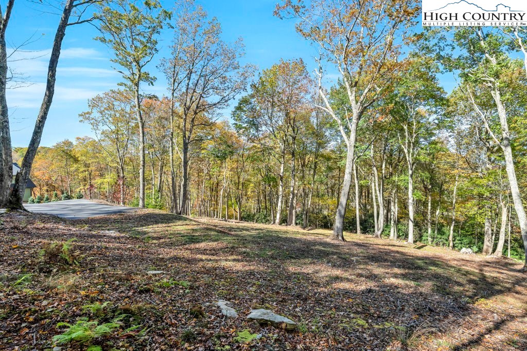Lot 57 Wick Wyre Boone, NC 28607 - Photo 4 of 31 a view of large trees with large trees