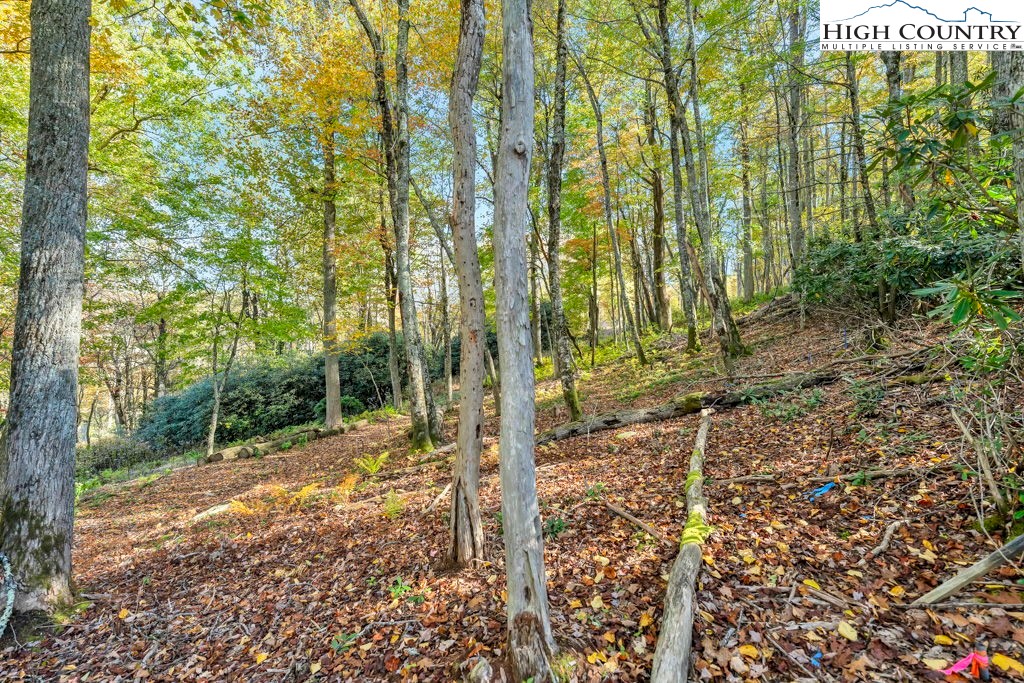 Lot 57 Wick Wyre Boone, NC 28607 - Photo 5 of 31 a view of a yard with plants and trees
